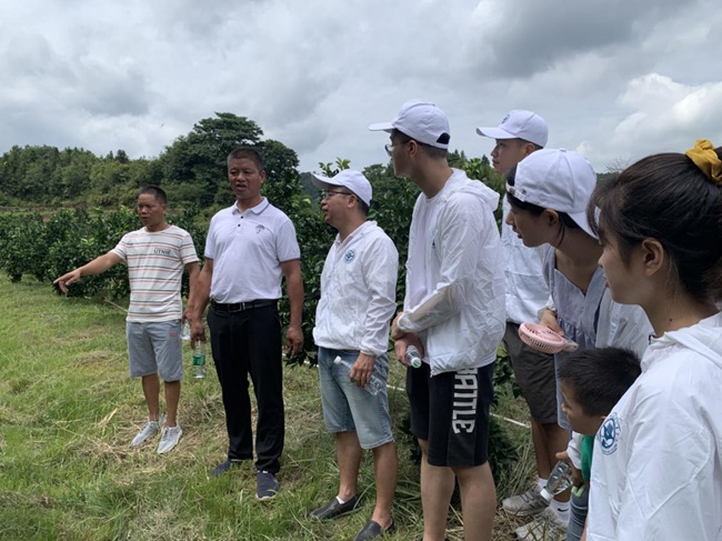 實踐隊在村主任伍玉炎帶領下參觀贛南臍橙種植園。福建船政交通職業(yè)學院供圖